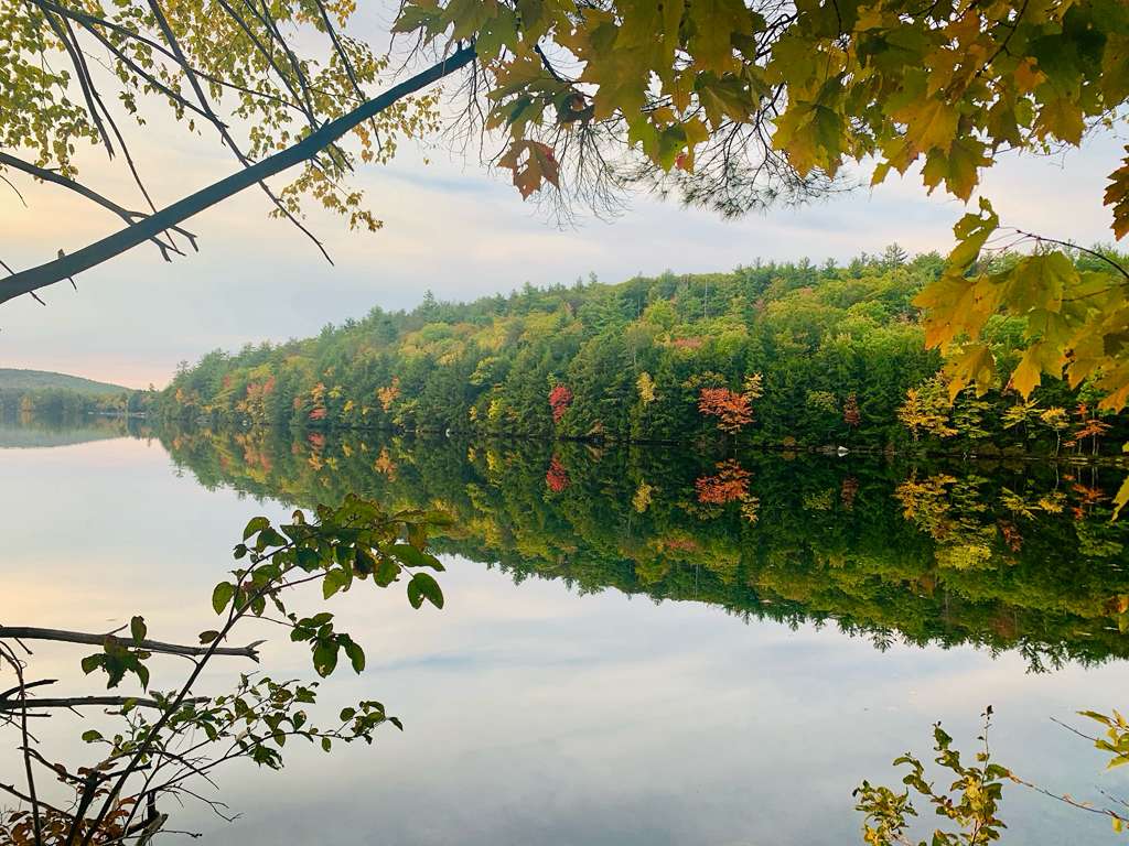 Still waters reflecting the surrounding wilderness