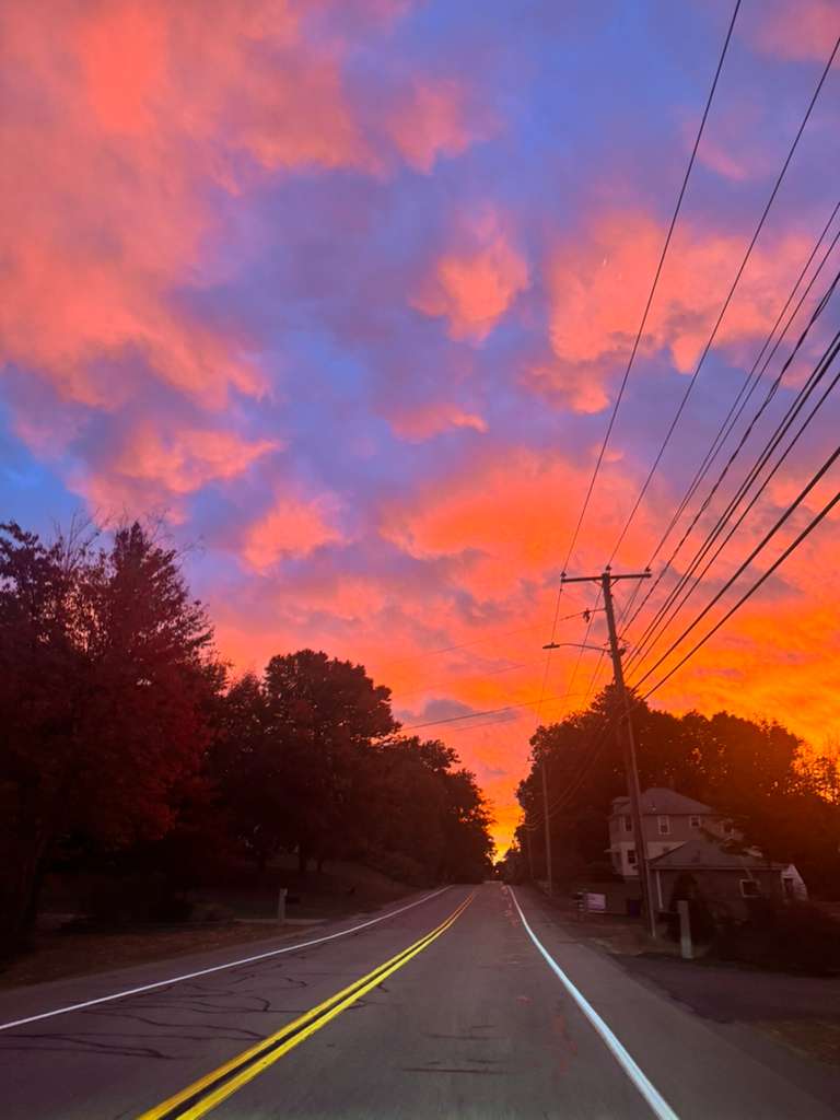 Winding path through untouched landscape