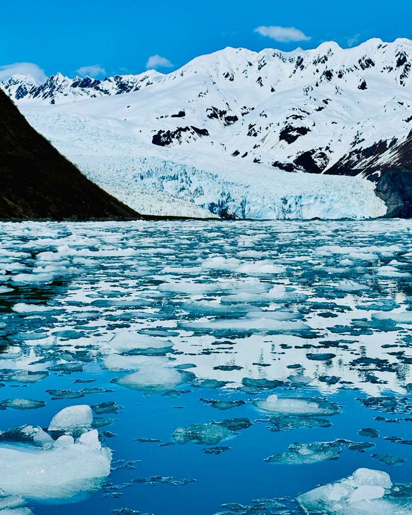 Snow covered landscape in quiet stillness